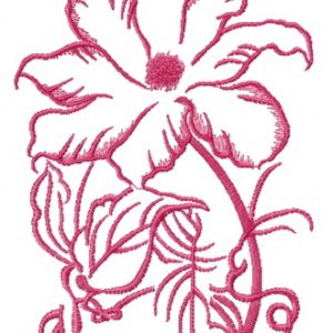 Clematis sketch embroidery design