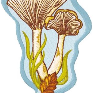 Сlitocube gibba embroidery design