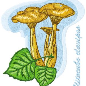 Clitocube clavipes embroidery design