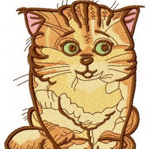 Confused cat embroidery design