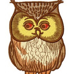 Confused owl embroidery design