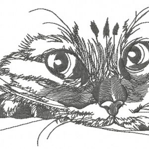 Curious cat muzzle embroidery design