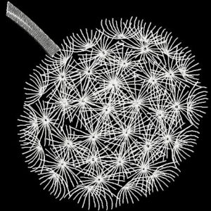 Dandelion embroidery design