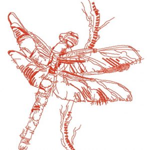 Dragonfly sketch embroidery design
