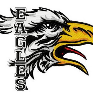 Eagles embroidery design