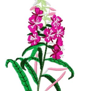 Epilobium embroidery design
