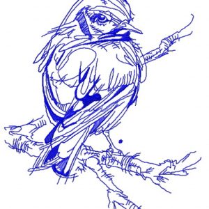 Goldfinch on tree branch one color embroidery design