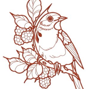 European robin 3 embroidery design