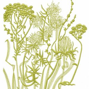 Field grass silhouettes embroidery design