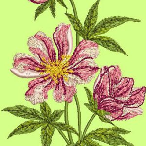 Cosmos  embroidery design