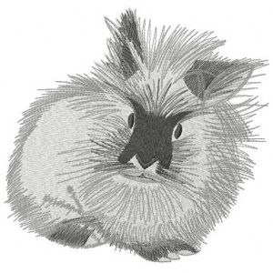Fluffy bunny embroidery design