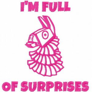 Full of surprises embroidery design