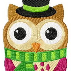 Funny owl in hat embroidery design