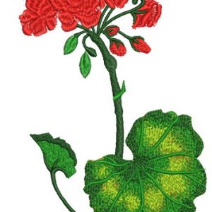 Geranium embroidery design