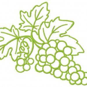 Grapes 2 embroidery design