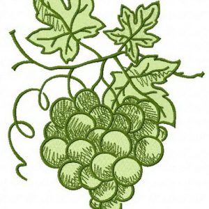 Green grapes embroidery design