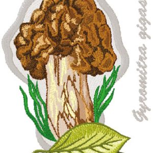 Gyromitra Gigas embroidery design