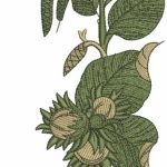 Hazelnut 2 embroidery design