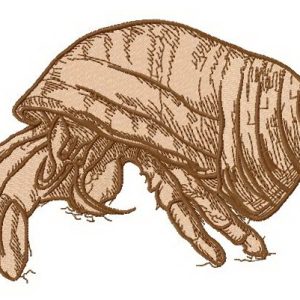 Hermit crab 2  embroidery design