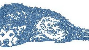 Huskies embroidery design