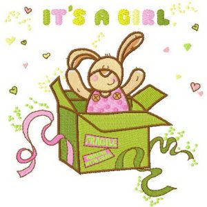 It's a girl surprise embroidery design