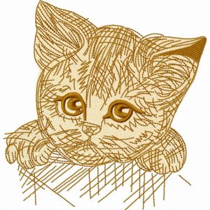 Kitten in a box 3 embroidery design