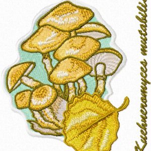 Kuehneromyces mutabilis embroidery design