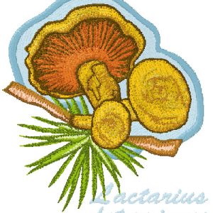 Lactarius Deterrimus embroidery design