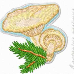 Lactarius resimus embroidery design