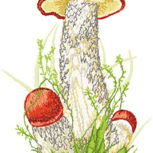 Leccinum embroidery design