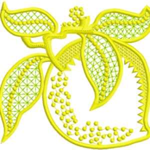 Limon Applique embroidery design
