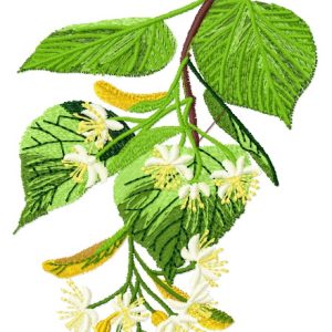 Linden embroidery design