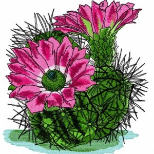Mammillaria embroidery design