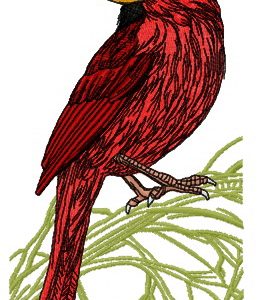 Northern cardinal on tree branch embroidery design