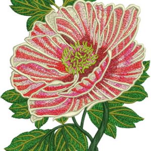 Peony Lollipop embroidery design
