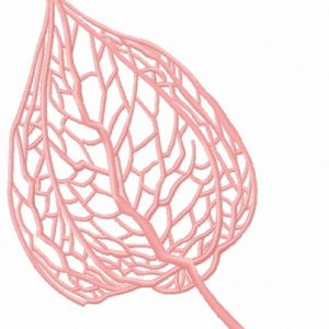 Physalis 3 embroidery design