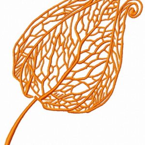 Physalis 4 embroidery design