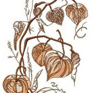 Physalis flower embroidery design