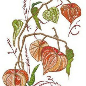 Physalis embroidery design