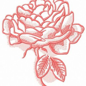 Pink peony sketch embroidery design