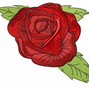 Prickly rose embroidery design
