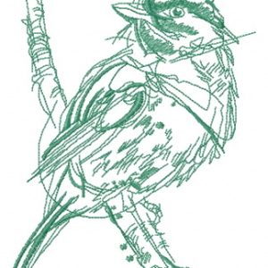 Robin bird sketch embroidery design