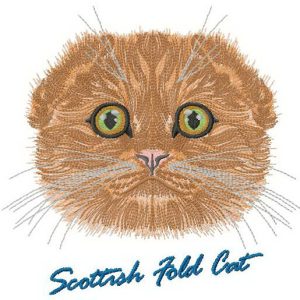 Scottish fold cat embroidery design