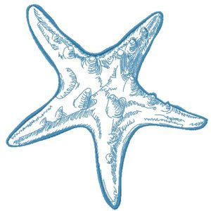 Sea star 4 embroidery design