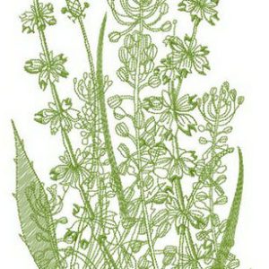 Sketch of field flowers embroidery design