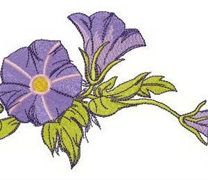 Slender bindweed embroidery design