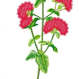 Spiraea  embroidery design