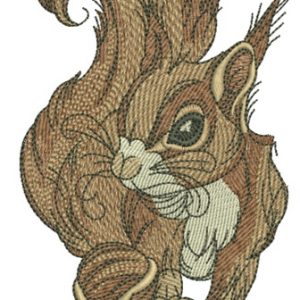 Squirrel with hazelnut 3 embroidery design