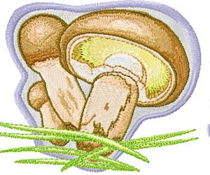 Suillus luteus embroidery design