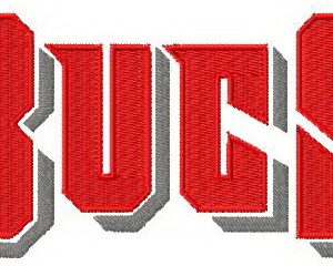Tampa Bay Buccaneers wordmark logo embroidery design